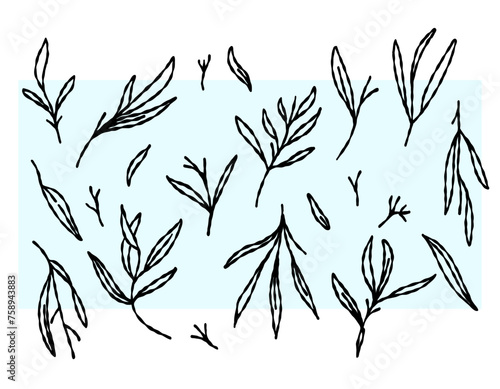 Set of leaves. Decorative elements are turned to the side. Vector graphics for textiles