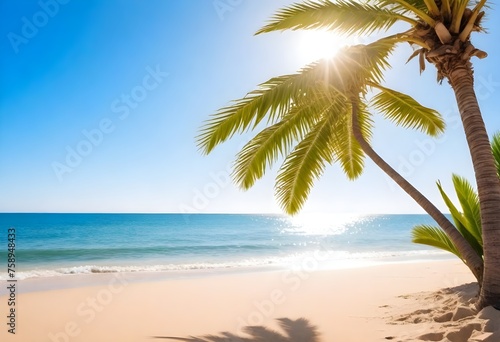 Palm tree leaves overhanging a sandy beach with clear blue sky and sun shining through the foliage  ocean in the background