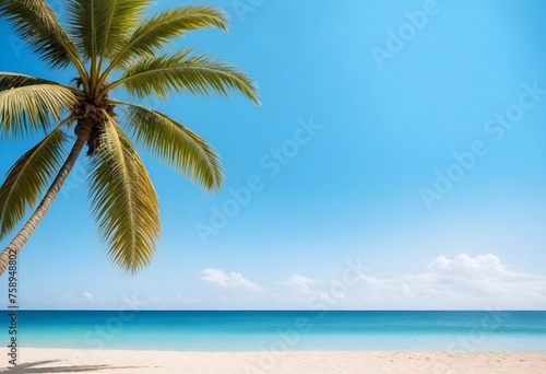 Palm tree leaves overhanging a sandy beach with clear blue sky and sun shining through the foliage, ocean in the background