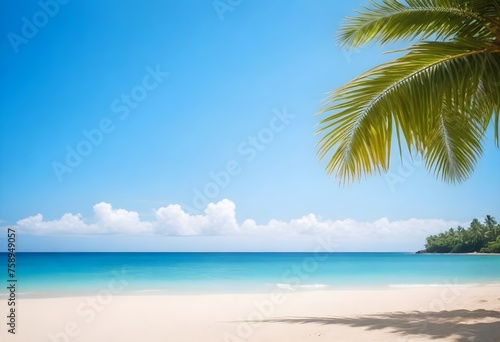 Palm tree leaves overhanging a sandy beach with clear blue sky and sun shining through the foliage, ocean in the background © sanart design