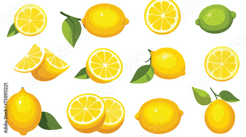Fresh lemon fruits collection of vector illustration