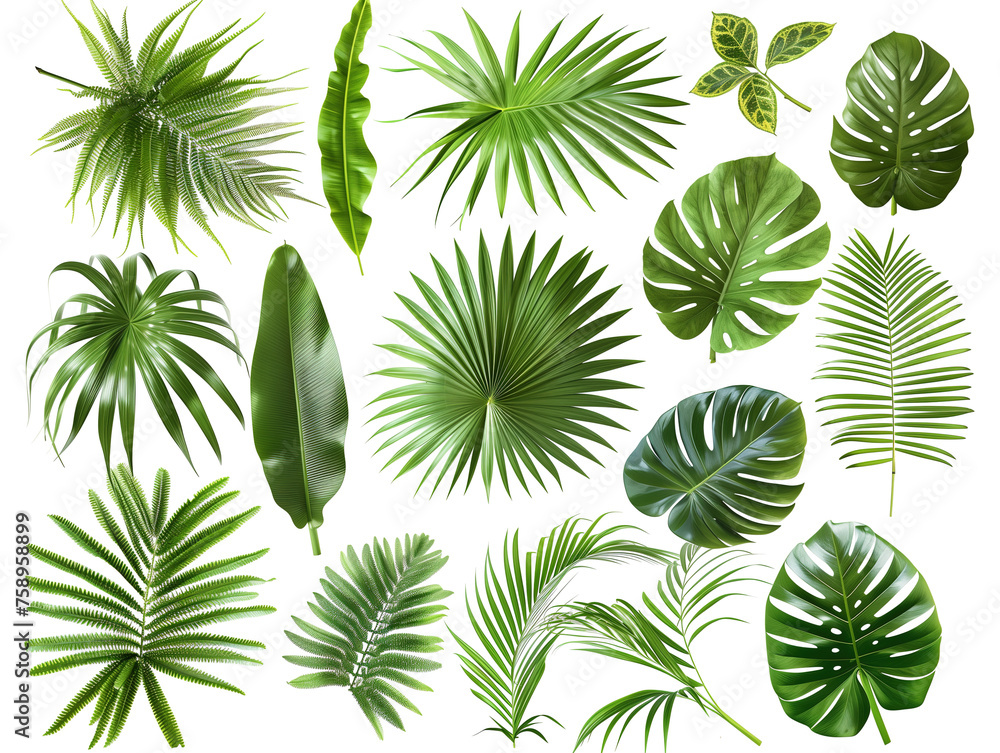 Palm leaf material isolated background,created with Generative AI tecnology.