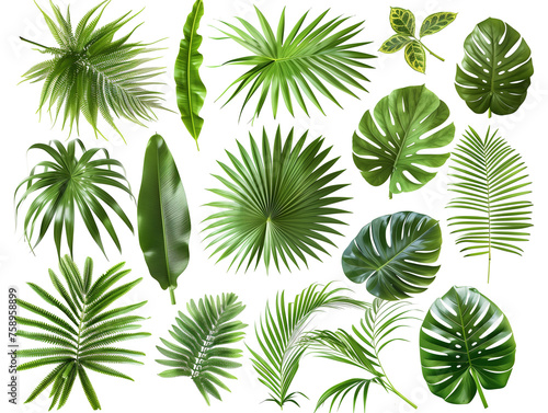 Palm leaf material isolated background created with Generative AI tecnology.