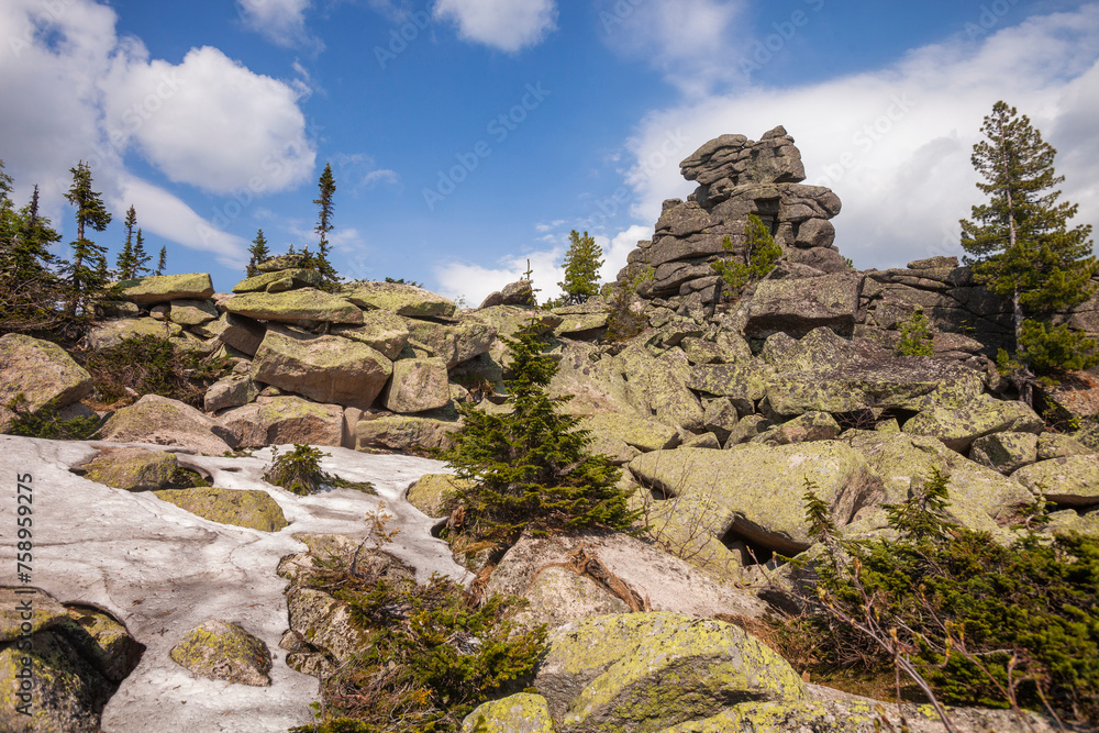 Fototapeta premium View from Mount Zelenaya. Sheregesh, Russia