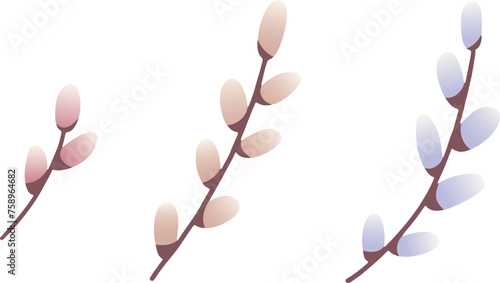 Pussy willow branches vector illustration set. Catkins twigs spring holidays decoration. Easter symbol. Botanical elements.
