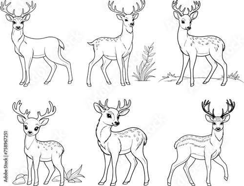 Deer set hand drawn coloring page and outline vector design