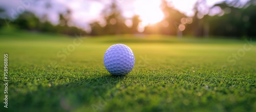 portrait of a golf ball on a wide field