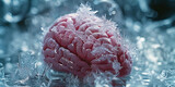 Frozen Brain A Stunning IceCovered Organ, Captured on January 3, 2013