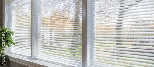 Wallpaper Mural View of white horizontal window blinds from a close distance Torontodigital.ca