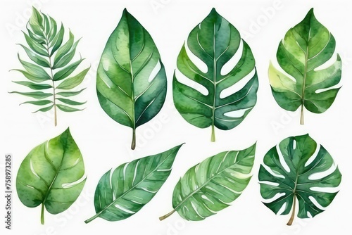 watercolor set of tropical leaves collection  tropical leaves background  tropical leaves set