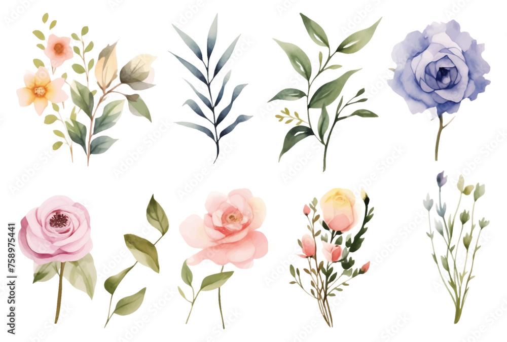 A set of Beautiful watercolor flowers and leaves clipart on a white background A set of Beautiful watercolor flowers and leaves clipart on a white background