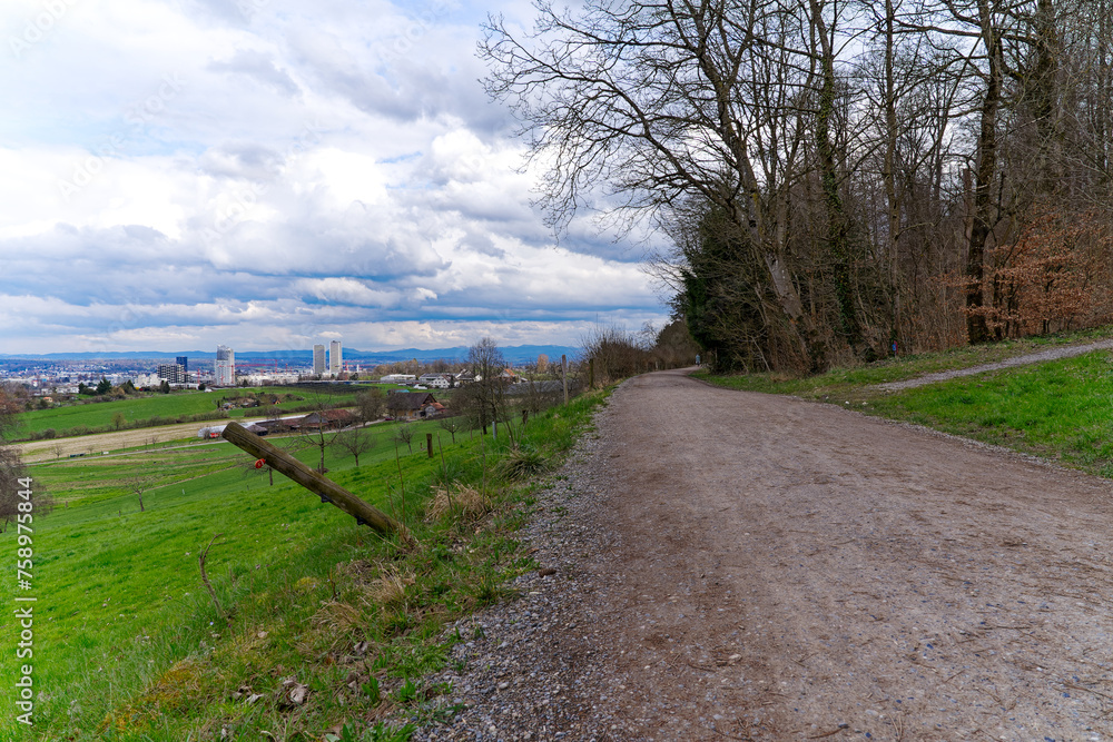 Diminishing view of gravel road with scenic landscape and cloudy sky background on a late winter day at Swiss City of Zürich. Photo taken March 15th, 2024, Zurich, Switzerland.