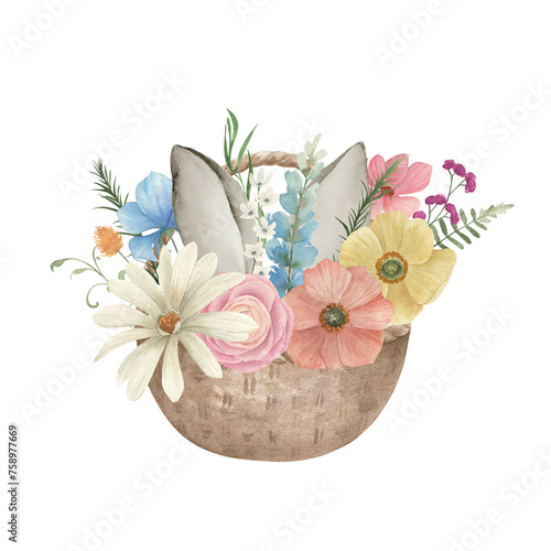 Watercolor Easter basket with spring flowers, rabbit ears on white background. Hand drawn illustration