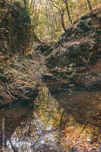 Canyon of a dried river with lots of rocks, foliage and trees during autumn, river Derventa, Uzice, Serbia photo