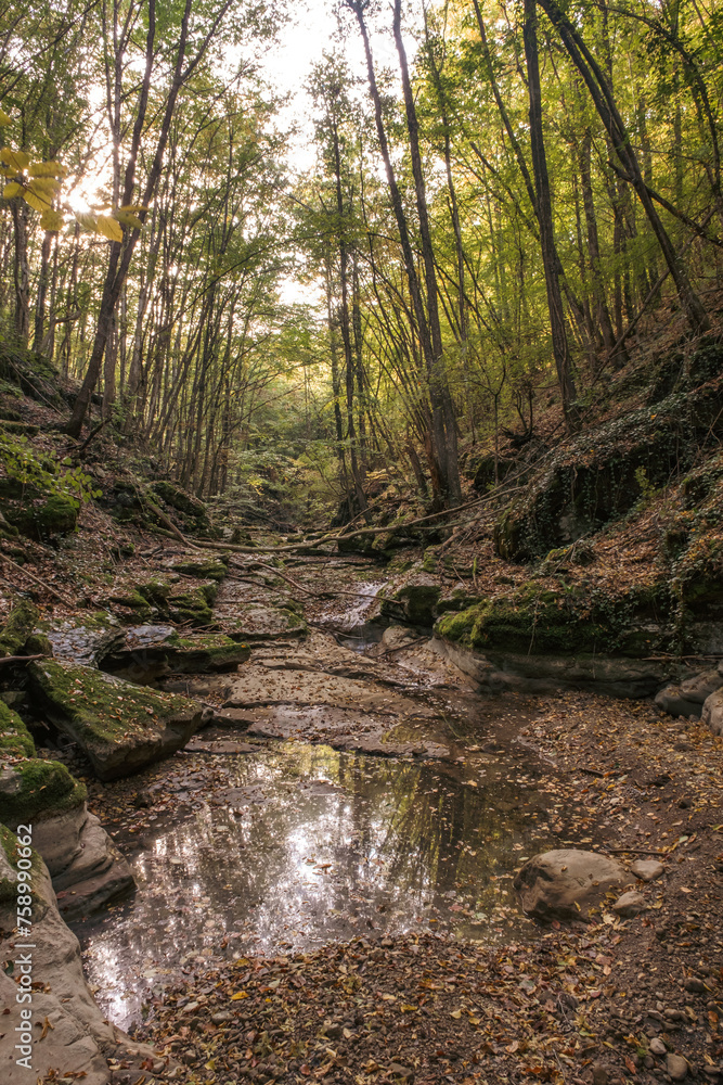 Canyon of a dried river with lots of rocks, foliage and trees during autumn, river Derventa, Uzice, Serbia
