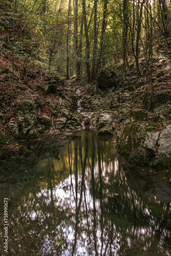 Fototapeta Naklejka Na Ścianę i Meble -  Canyon of a dried river with lots of rocks, foliage and trees during autumn, river Derventa, Uzice, Serbia