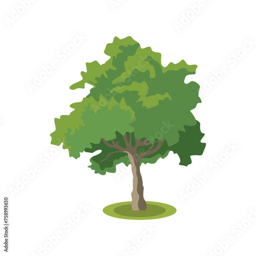 Vector illustration if single tree in cartoon flat style. Vector green tree or forest side view isolated on white background for landscape and architecture drawing elements for environment 