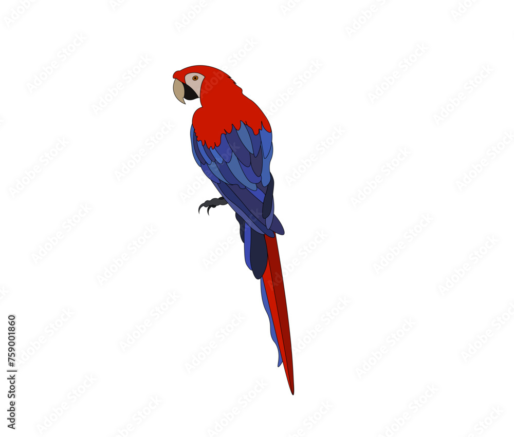 Vector illustration of a parrot in a minimalist style