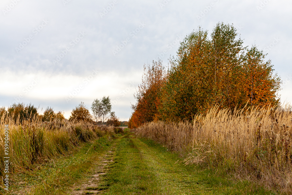 Beautiful autumn landscape in the countryside. Beautiful autumn landscape in the countryside.