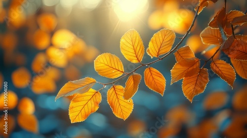 Sunlit Branch With Yellow Leaves