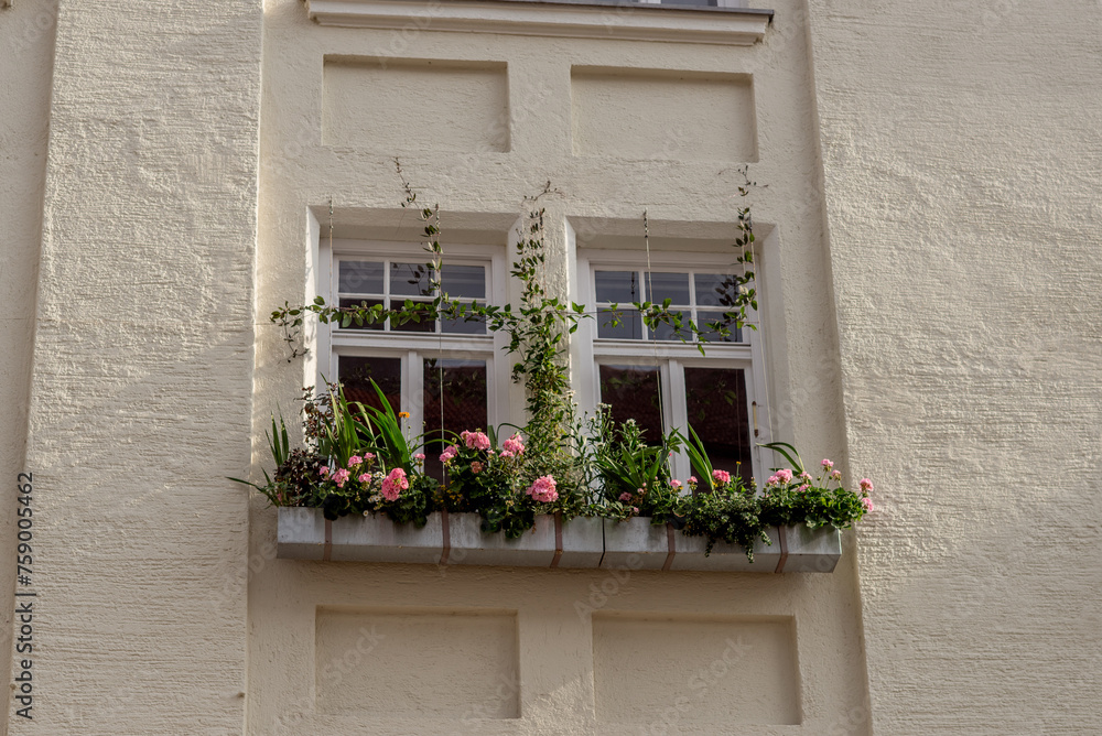 Flower filled window boxes. Urban gardening landscaping design. decorative patterns for windows. a combination of plants for decorative planters. landscaping of facades.