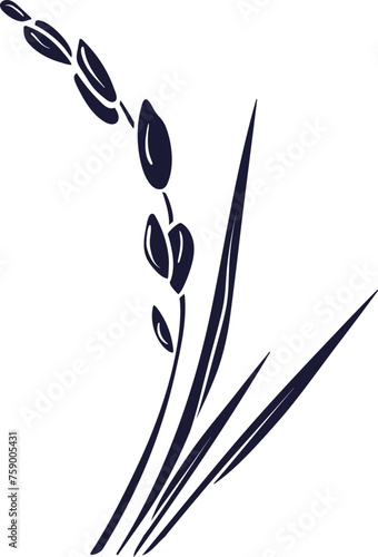 Rice plant, grain silhouette for label, menu, package. Traditional food in asian countries