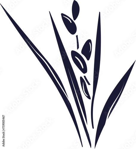 Rice plant, grain silhouette for label, menu, package. Traditional food in asian countries