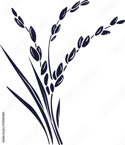 Rice plant, grain silhouette for label, menu, package. Traditional food in asian countries