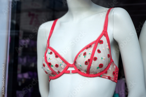 Closeup of  printed flowers on red bra on mannequin in a fashion store showroom