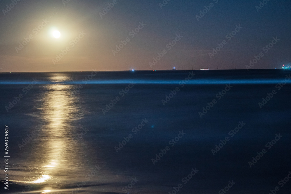 Fototapeta premium Moon over the sea - Europe, Romania, Constanta region, 2023 year