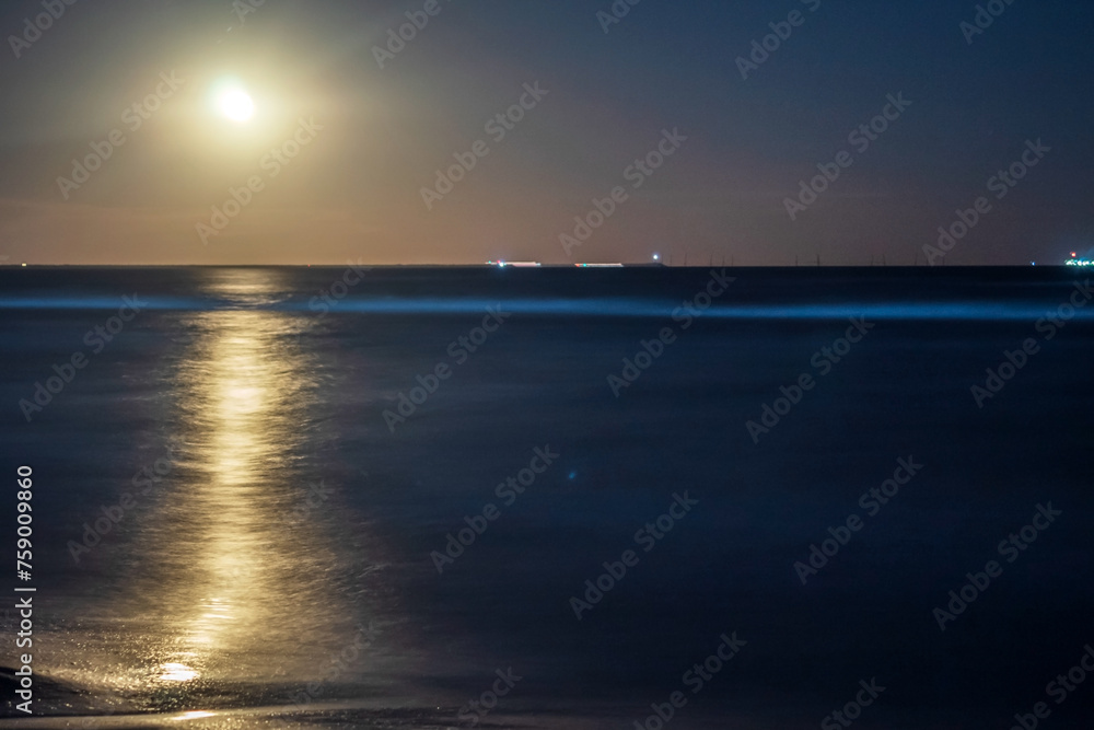 Fototapeta premium Moon over the sea - Europe, Romania, Constanta region, 2023 year