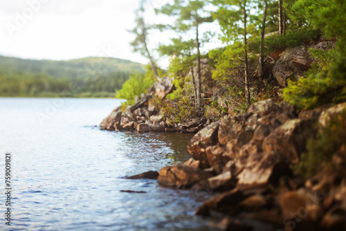 Miniature illusion on the shore of a lake in Algonquin Park, Ontario, Canada shot with a tilt-shift lens