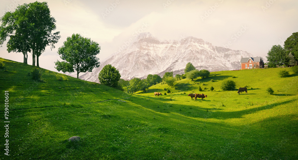 Obraz premium Imaginary composite landscape with mountains and fields.