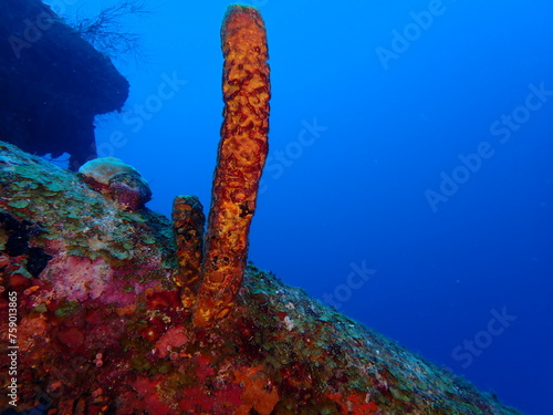 Ship Wreck underwater 