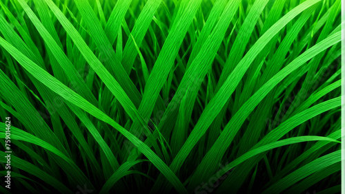 Background, wallpaper, texture, overlay