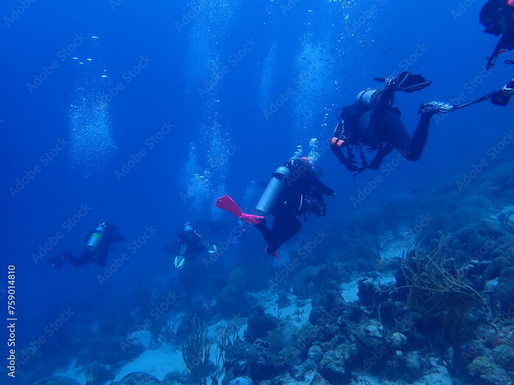 divers divers