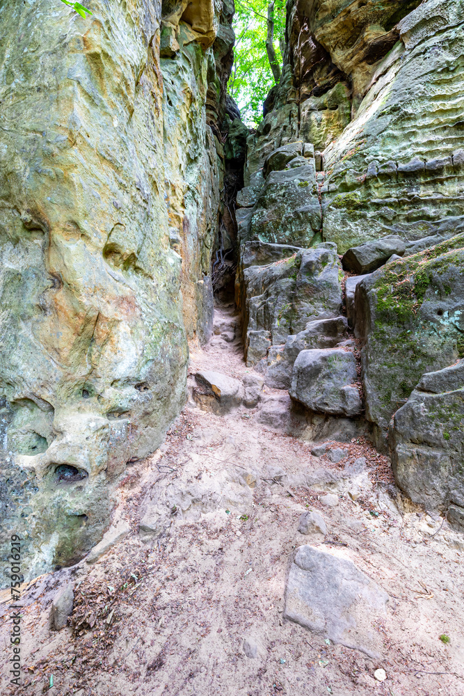 Narrow groove between two rock formations with green foliage on background, abrasions caused by passage of time, greenish spots, sunny summer day in Teufelsschlucht nature reserve, Irrel, Germany