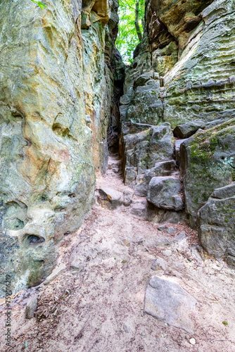 Narrow groove between two rock formations with green foliage on background, abrasions caused by passage of time, greenish spots, sunny summer day in Teufelsschlucht nature reserve, Irrel, Germany