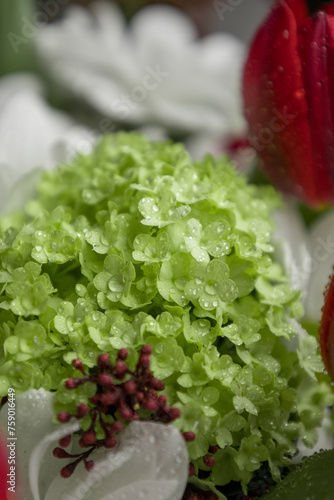 Bunch of colorful blooming flowers and spring blossom