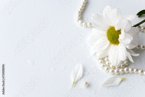White chrysanthemum and pearls on white background with space for message