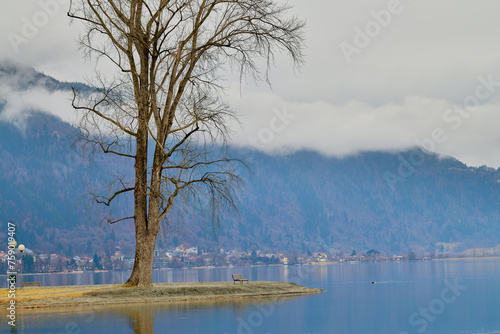 Drzewo nad górskim jeziorem. Zamglone szczyty gór, chmury nisko nad taflą wody. Krystalicznie czyste powietrze. © Tomasz