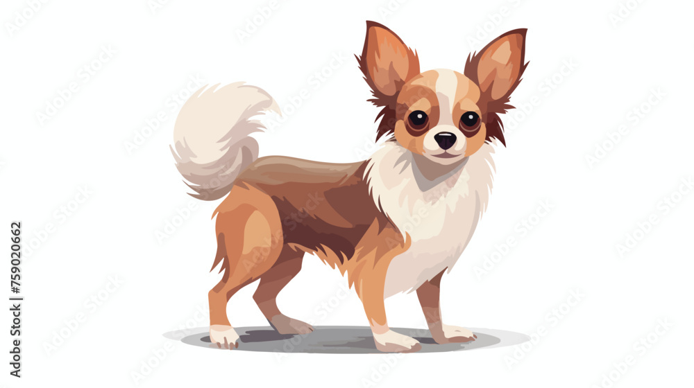 Vector of chihuahua dog in flat style. Dog flat icon