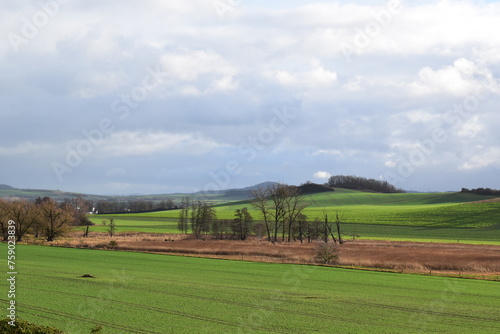 farmland at the beginning of spring