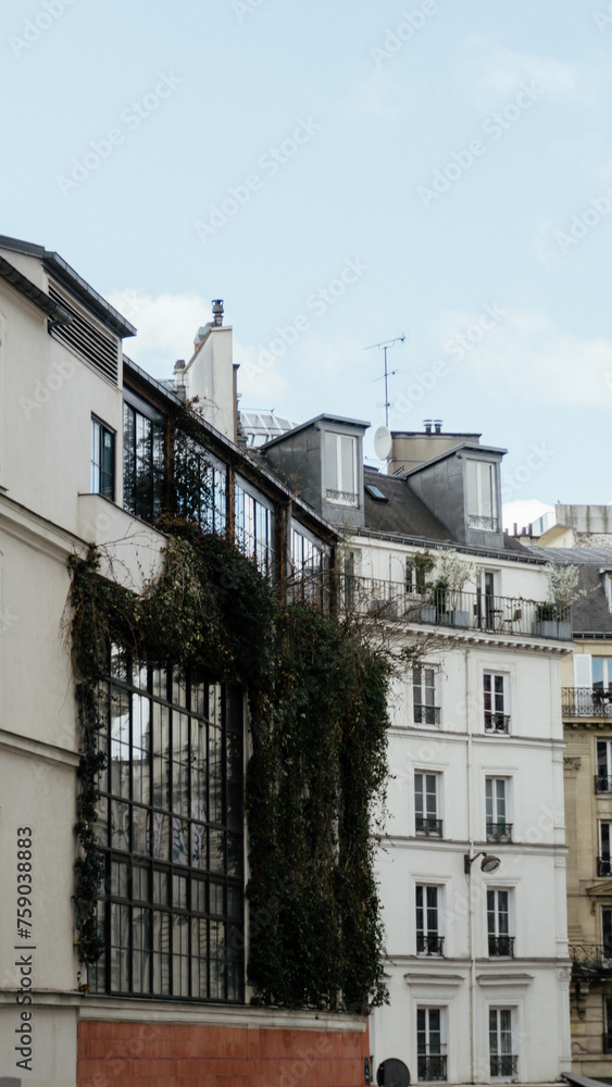 Obraz premium french apartment building