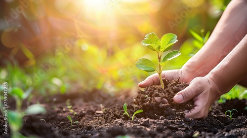 Wallpaper Mural Closeup of hands holding a young plant on a blurred nature background, New Life Unfolding Torontodigital.ca