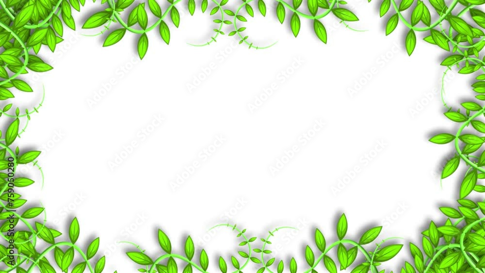 Beautiful plant leaves on white background. Animated leaves frame for decoration. Beautiful plant leaves on white background. Animated leaves frame for decoration.