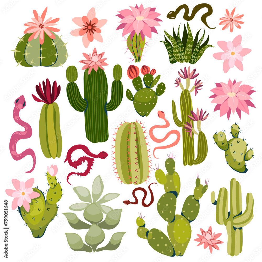 Set of bright cactus, aloe and succulents vector