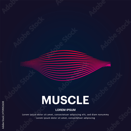 Human muscle medical structure. simple line art muscle Vector logotype illustration on dark background. muscle logo vector template suitable for organization, company, or community. EPS 10