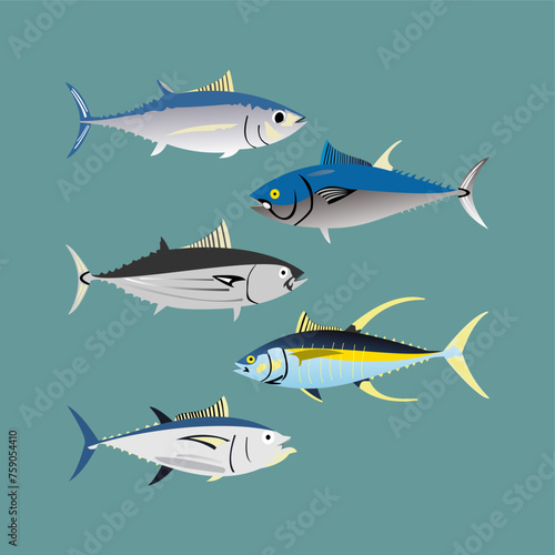 Vector graphic of Hand Drawn Ocean, Ocean, River and Lake Fish Set illustration. This tuna vector fish is perfect for wallpaper,background,template,sticker,decoration,advertisement,banner etc.