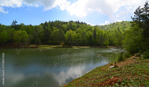 Camlipinar Lake in Duzce, Turkey. photo